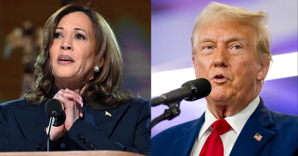 Harris and Trump have competing tax plans. Here's how your paycheck...